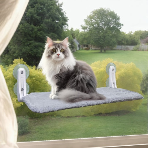 Cat Window Perch