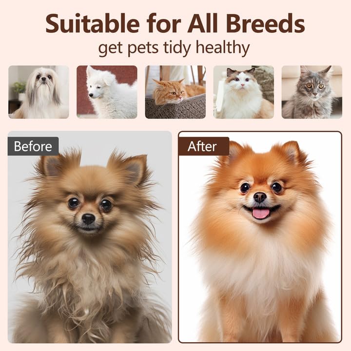 3 in 1 Self Cleaning Cat Steam Brush