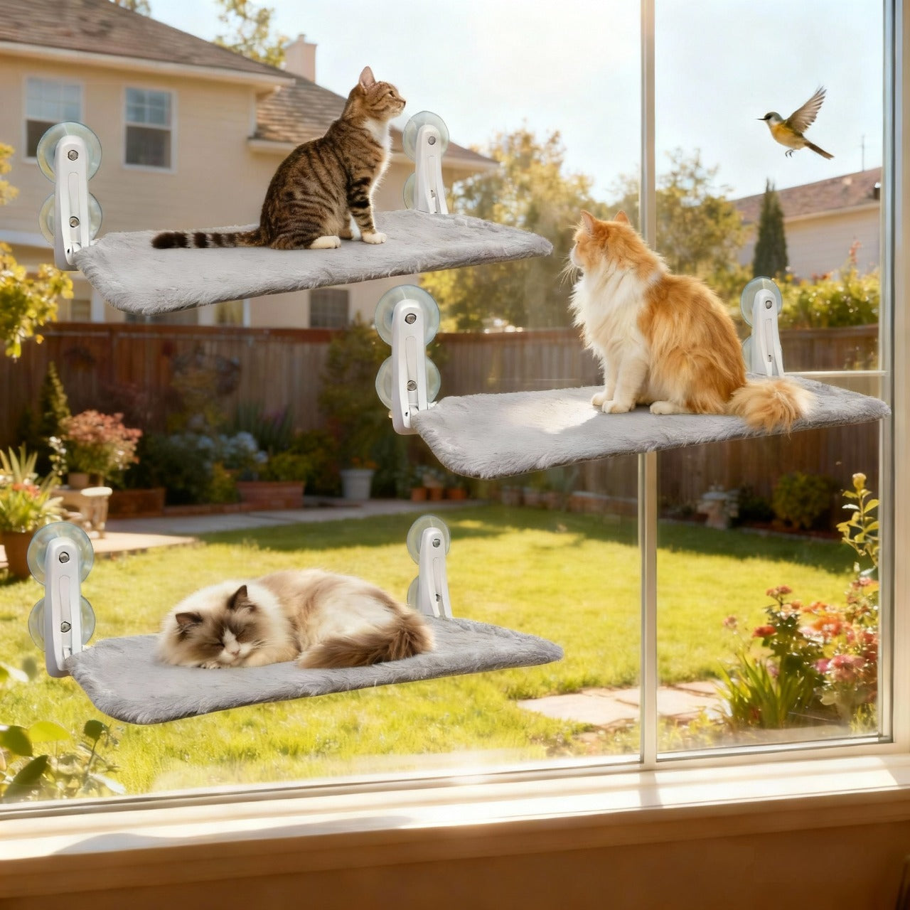 Cat Window Perch