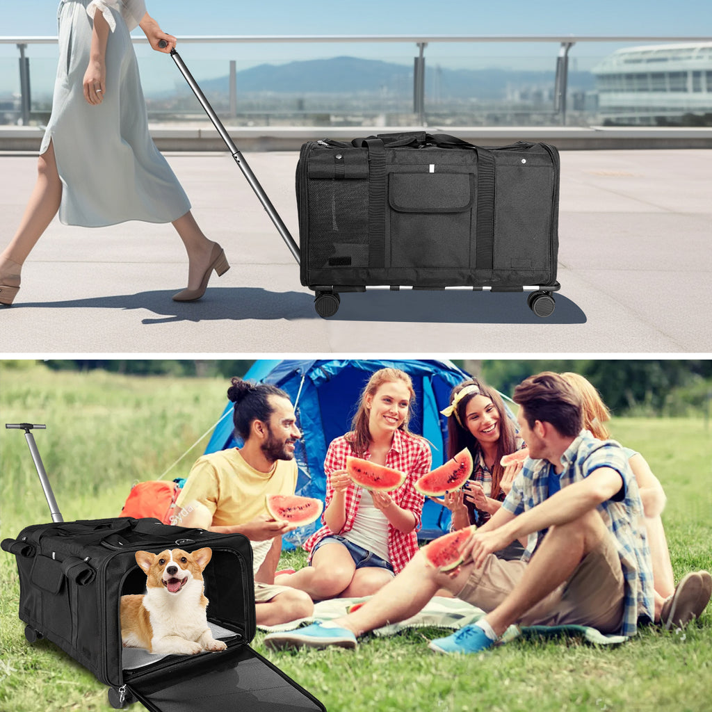 Pet Carrier with Wheels