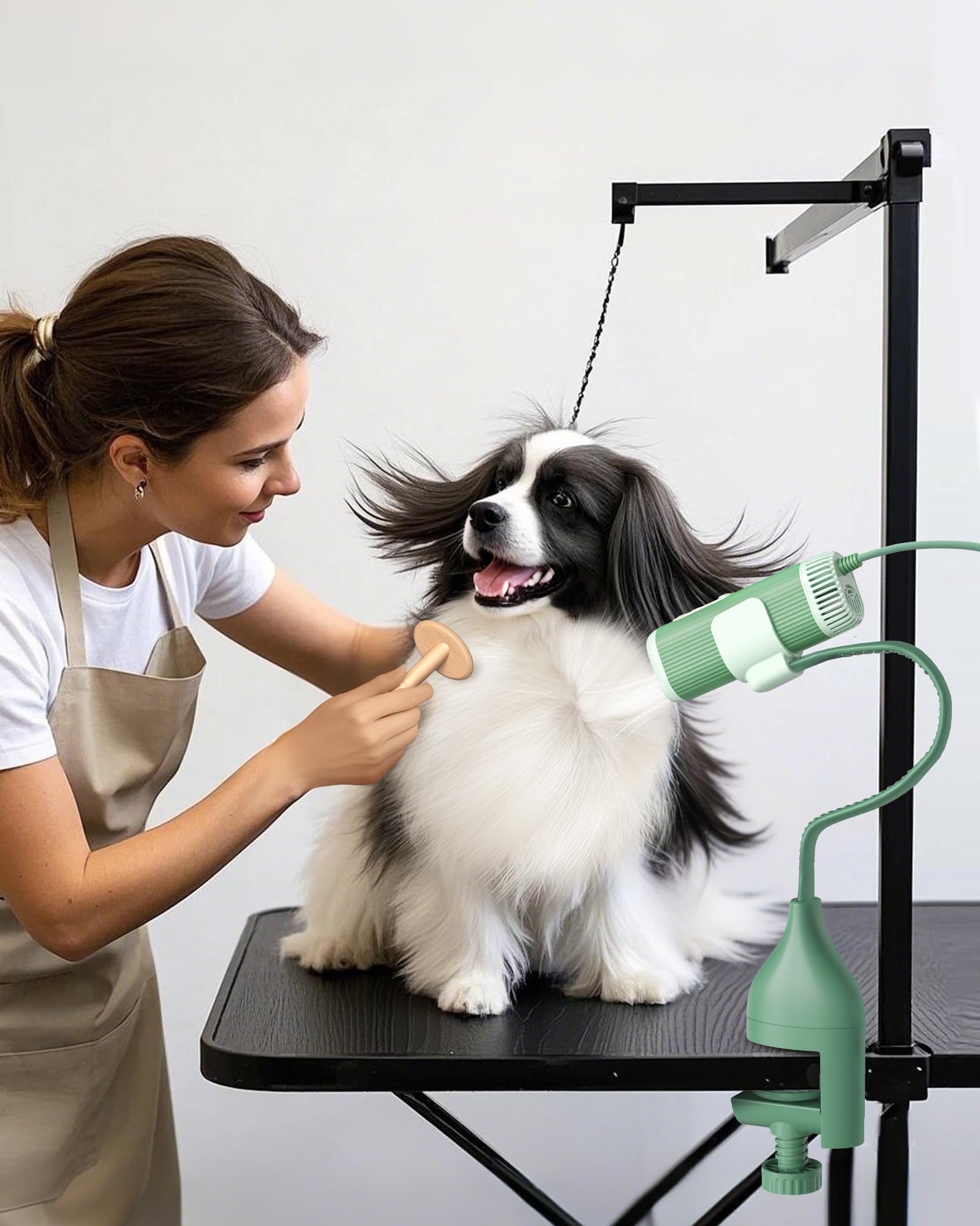 Hands-free Pet Dryer with Table Clamp