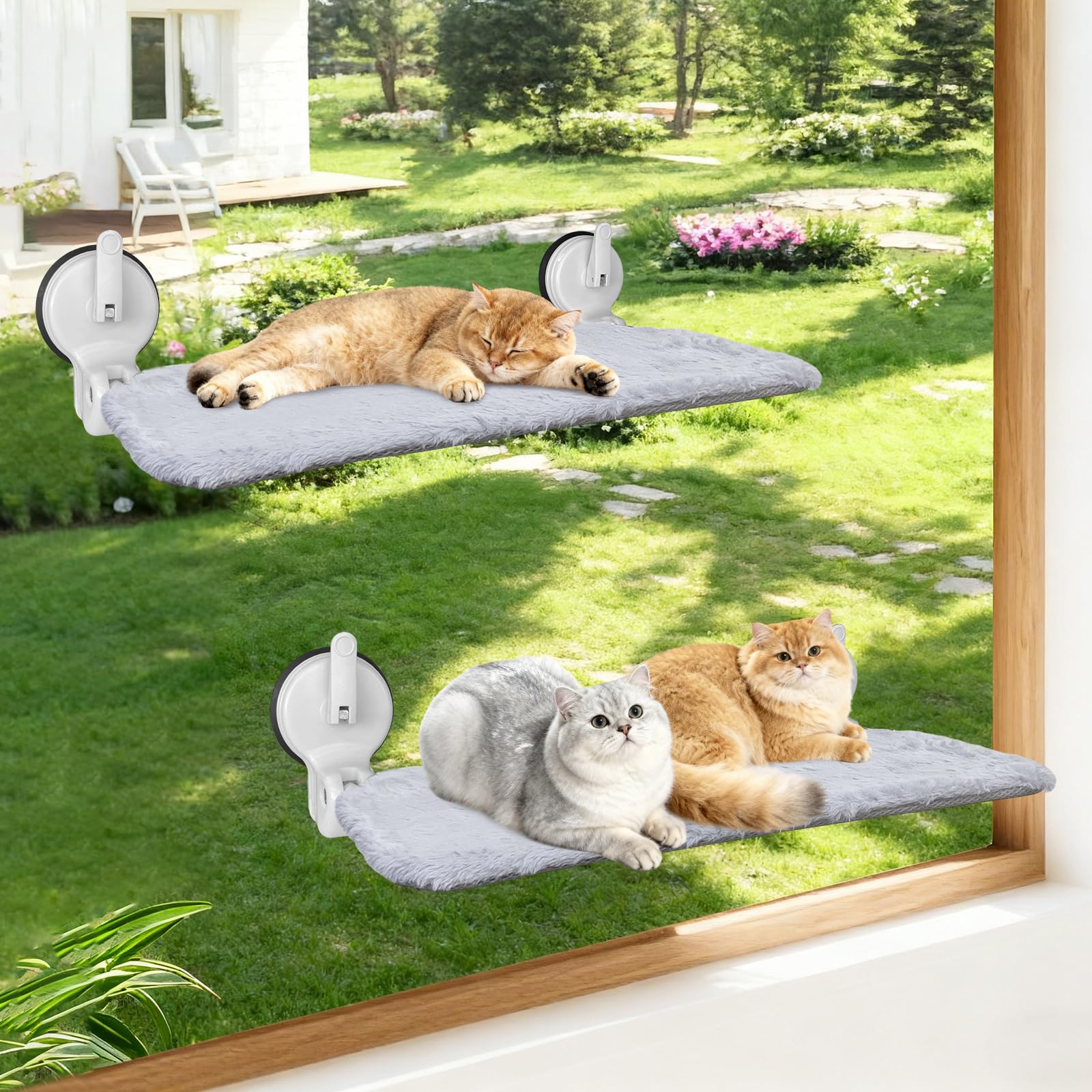 Cat Window Perch with Lever Lock Suction Cups