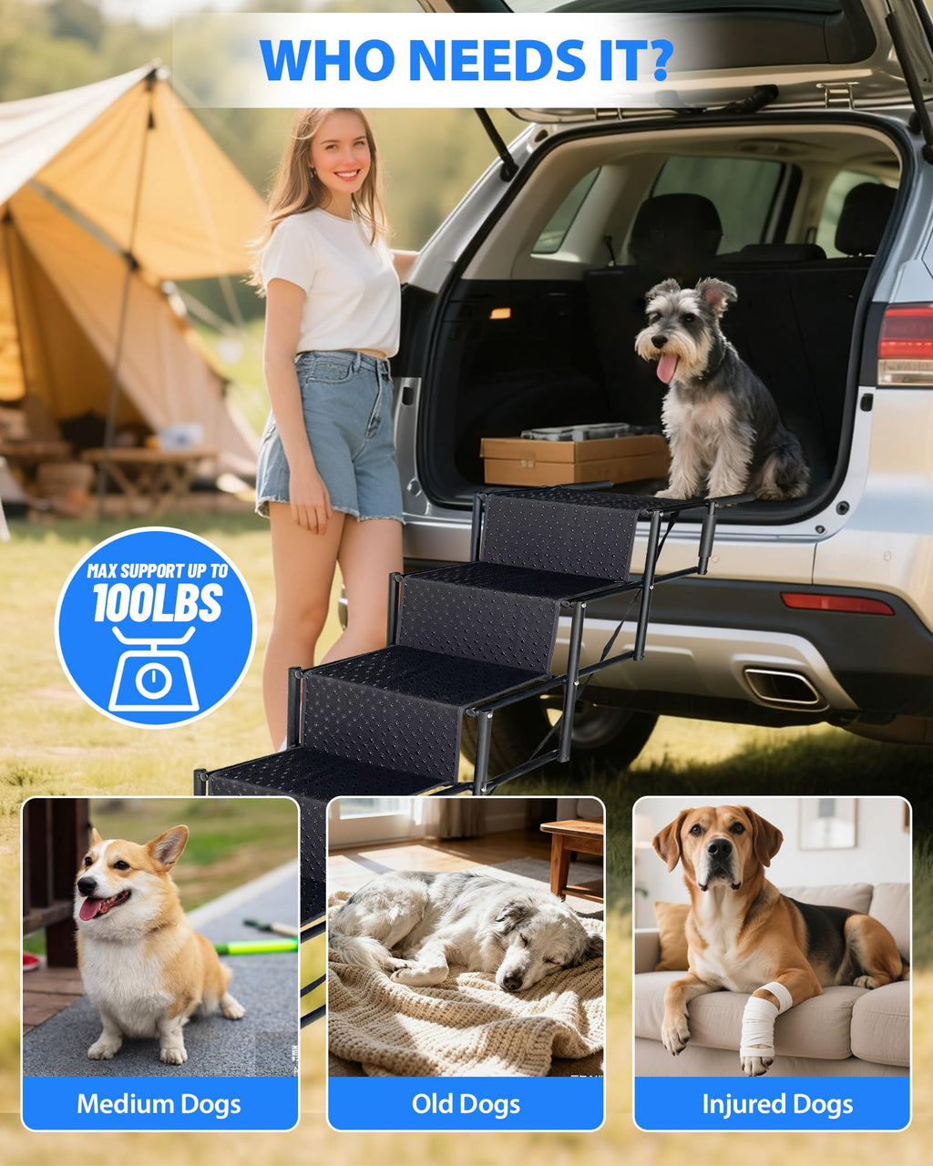 Foldable Dog Stairs for Car, SUV & Truck