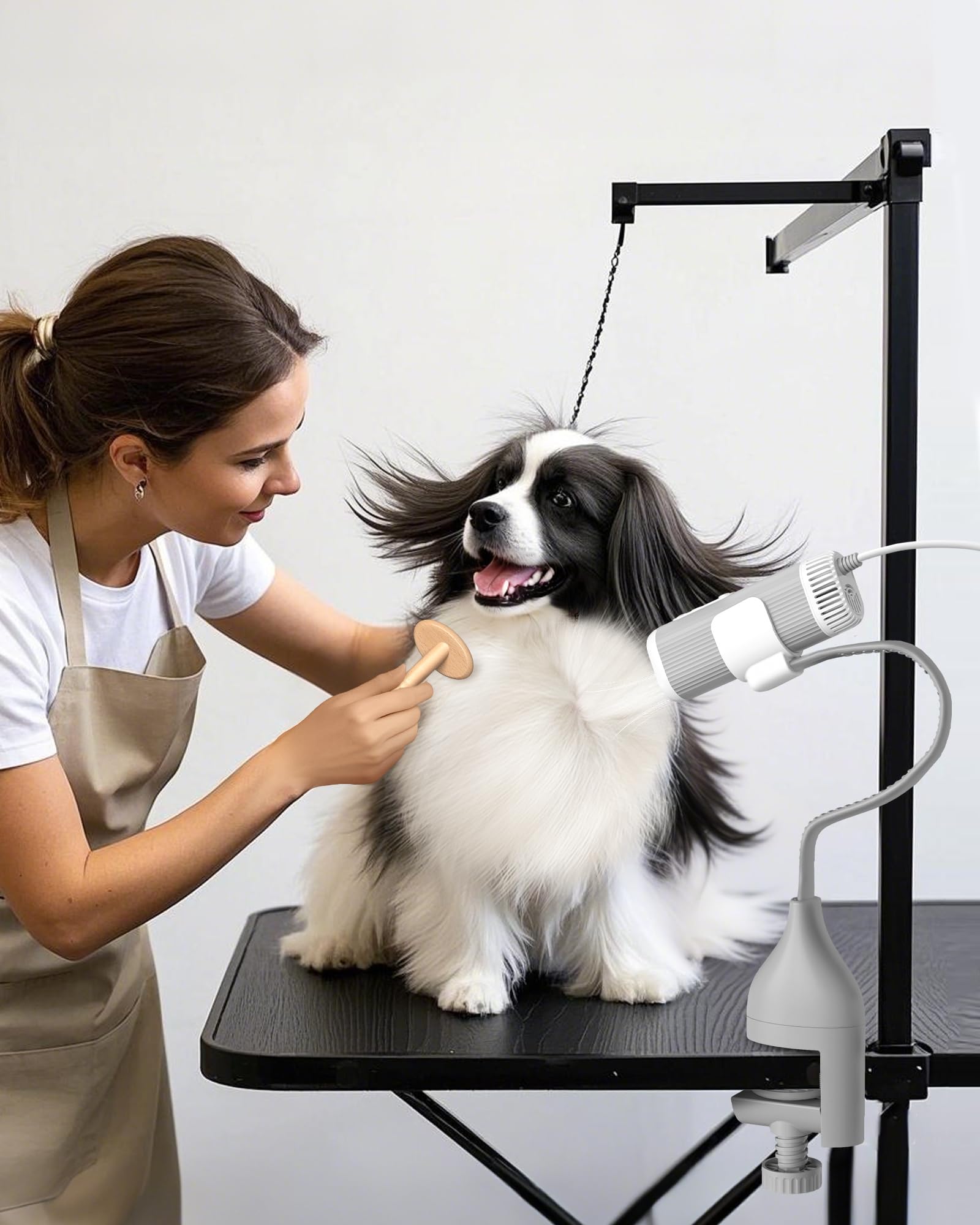 Hands-free Pet Dryer with Table Clamp