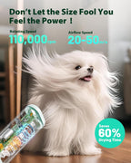 Hands-free Pet Dryer with Table Clamp
