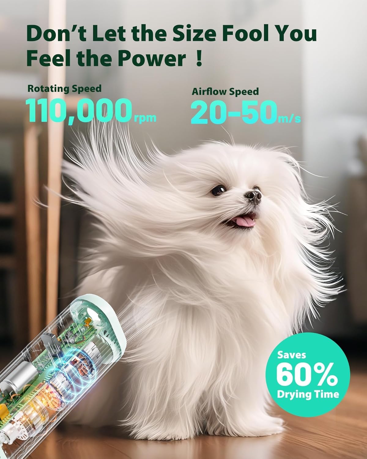 Hands-free Pet Dryer with Table Clamp