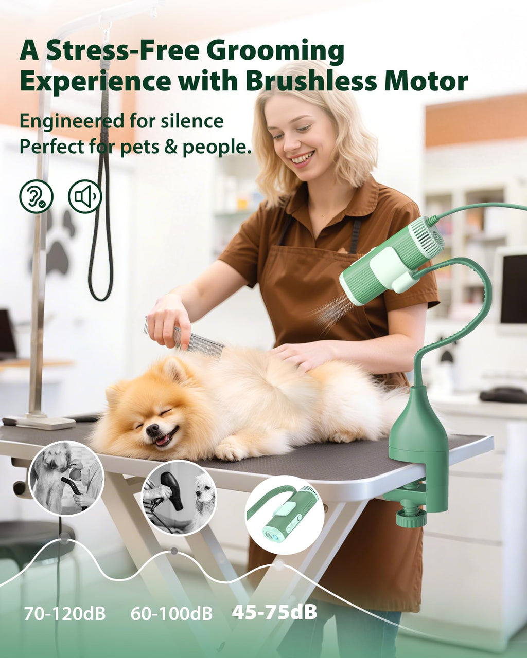 Hands-free Pet Dryer with Table Clamp